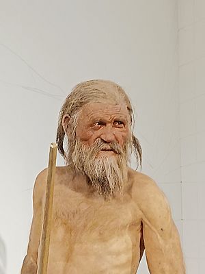 Ricostruzione di Ötzi - Particolare del volto