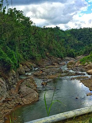 River in Adjuntas, Puerto Rico December 2017