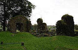 Saddell Abbey 20100928 north transept and choir.jpg