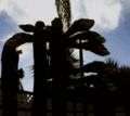San-pedro-timelapse