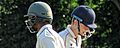 Sandwich Town CC v. MCC at Sandwich, Kent, England 219 (cropped)