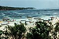Seaweed Farms in Indonesia