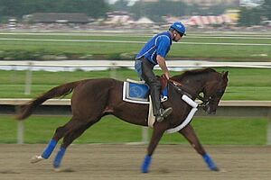 Smarty jones