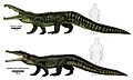 Smilosuchus-reconstructions-Jeff-Martz-600-px-tiny-Oct-2014-Tetrapod-Zoology