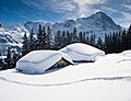 Snow in Grindelwald