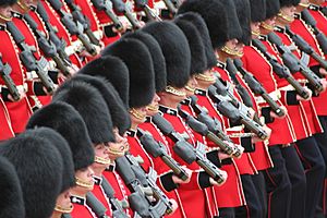 Soldiers Trooping the Colour, 16th June 2007