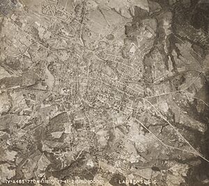 South Carolina - Laurens - NARA - 68148877 (cropped)