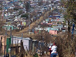 Soweto Housing, Johannesburg