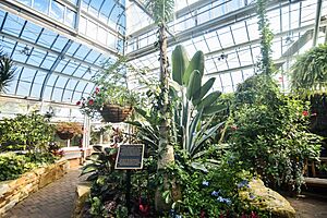 Stan Hywet Hall and Gardens (22095486106)