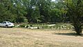 Sunken rose garden in Leeper Park