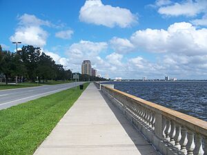 Tampa Bayshore Blvd looking north01.jpg