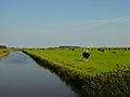 Texel Landscape