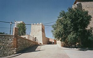 Torre de Argente.jpg