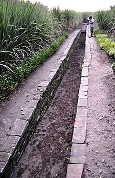 Trowulan ancient canal 1