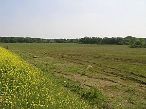 Twyford Wood - geograph.org.uk - 184092.jpg