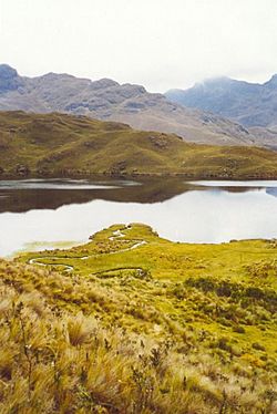 Una laguna en el cajas