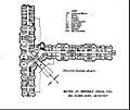 Upper floor plan for the Beverly Hills Hotel 1913
