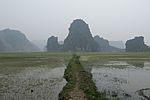 Vietnam, Ninh Binh, Limestone rocks and wetlands