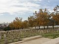 View of Western Half of Jerusalem British Military Cemetery