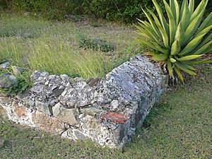 Welk Point Fort 5