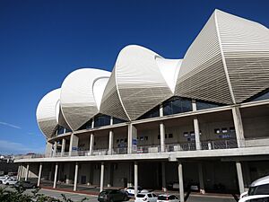 Western side of the Nelson Mandela Bay Stadium February 2025