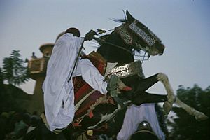 Zinder sultans horsemen festival
