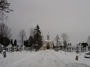 2010-12-11 Jordanville 028 (5268984931)