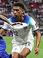2022 FIFA World Cup - Bellingham (cropped)
