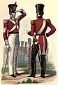 86th Foot uniform