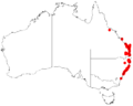 Acacia quadrilateralisDistMap743