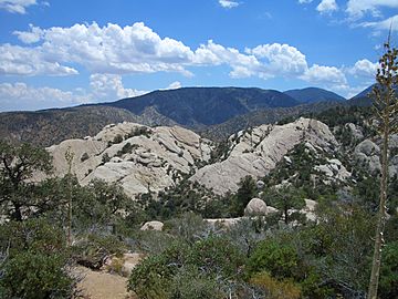Angeles National Forest (15480513542)