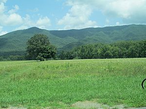 Another view of the Cades Cove area IMG 5004