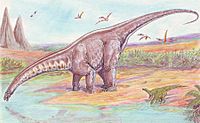 Apatosaurus33