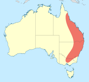 Austrogomphus praeruptus distribution map.svg