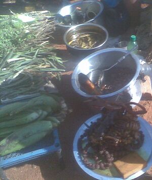 Ayurvada Medicine from Medicinal Plants YVSREDDY