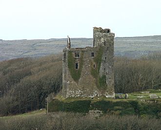 Ballinalacken castle.jpg