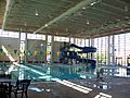Baylor SLC Pool
