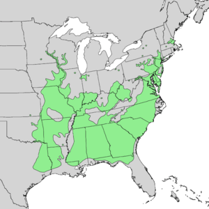 Betula nigra range map 1.png