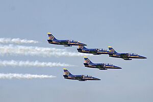 BreitlingJetTeam2683