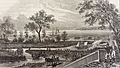 Buffalo 1813 (cropped)