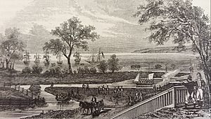 Buffalo 1813 (cropped).jpg