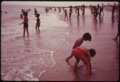 CHILDREN AT THE BEACH IN REIS PARK, BROOKLYN, NEW YORK CITY THE INNER CITY TODAY IS AN ABSOLUTE CONTRADICTION TO THE... - NARA - 555923