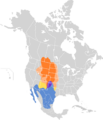 Calamospiza melanocorys map