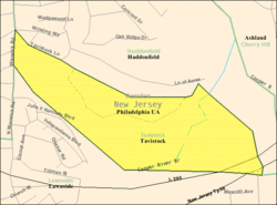 Census Bureau map of Tavistock, New Jersey