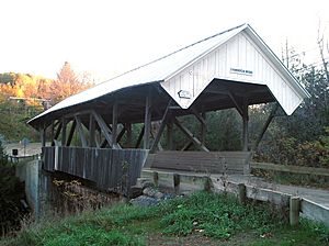 Wooden covered bridge with open sides and X-shaped beams