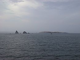 Chincha Islands - panoramio.jpg