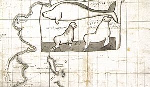 Chitrow - Seekuh, Seebaer und Seeloewe (Ausschnitt aus einer Karte)