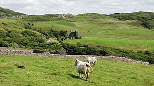 Clifden Demesne with Clifden Castle