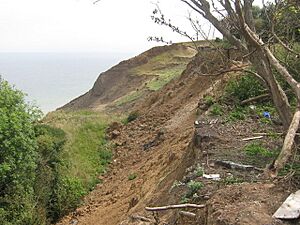 Cliff top past Manor Way - geograph.org.uk - 1365332