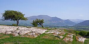 Clints Crag Blindcrake.jpg